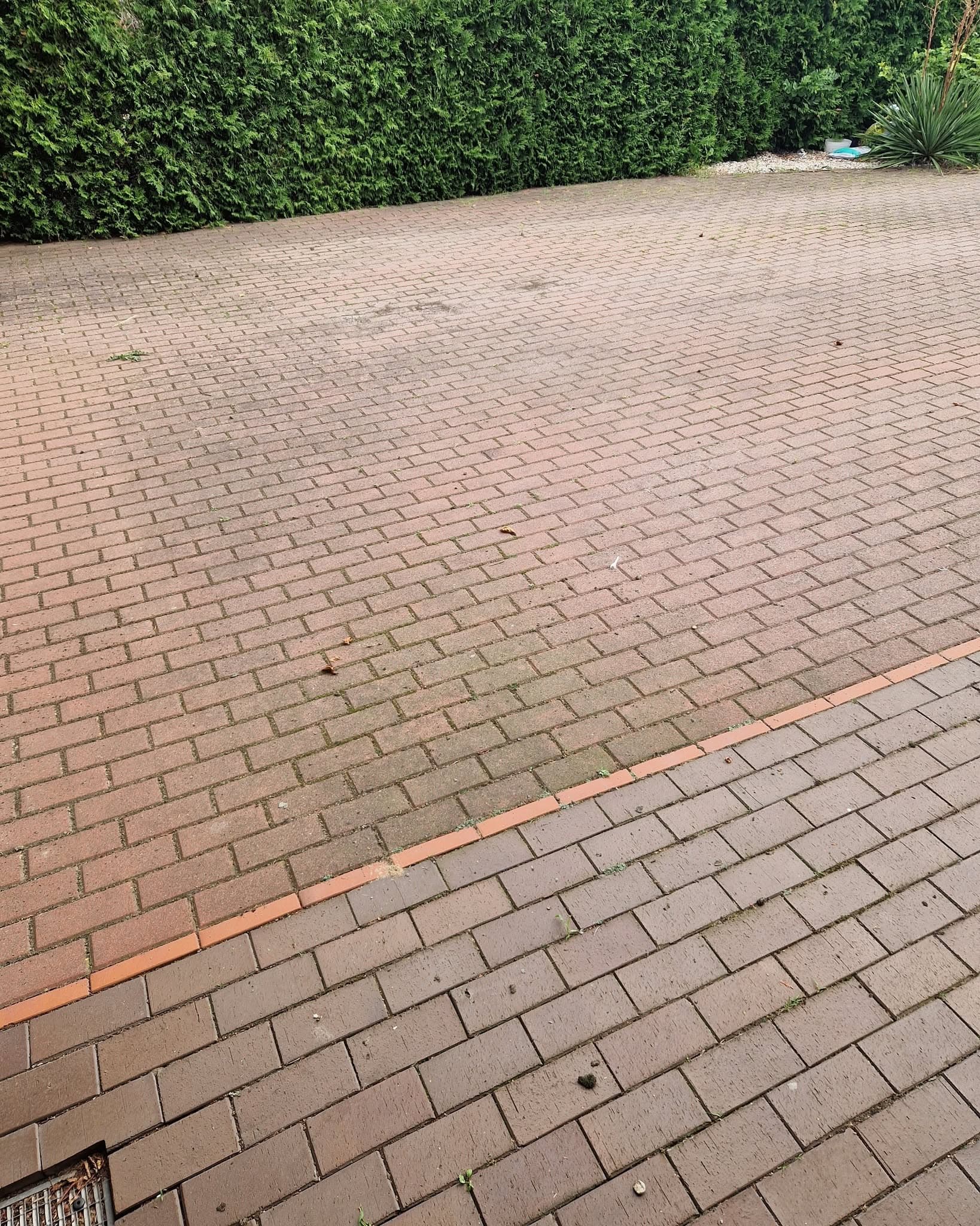 Umyta kostka brukowa na podjeździe przy żywopłocie