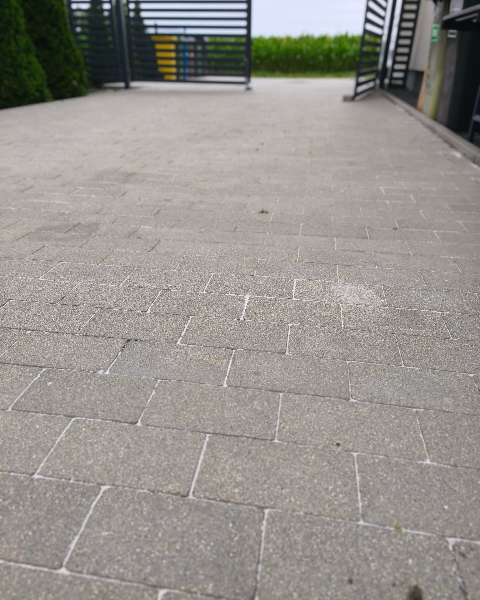 Plac z kostki brukowej przed bramą wjazdową po myciu