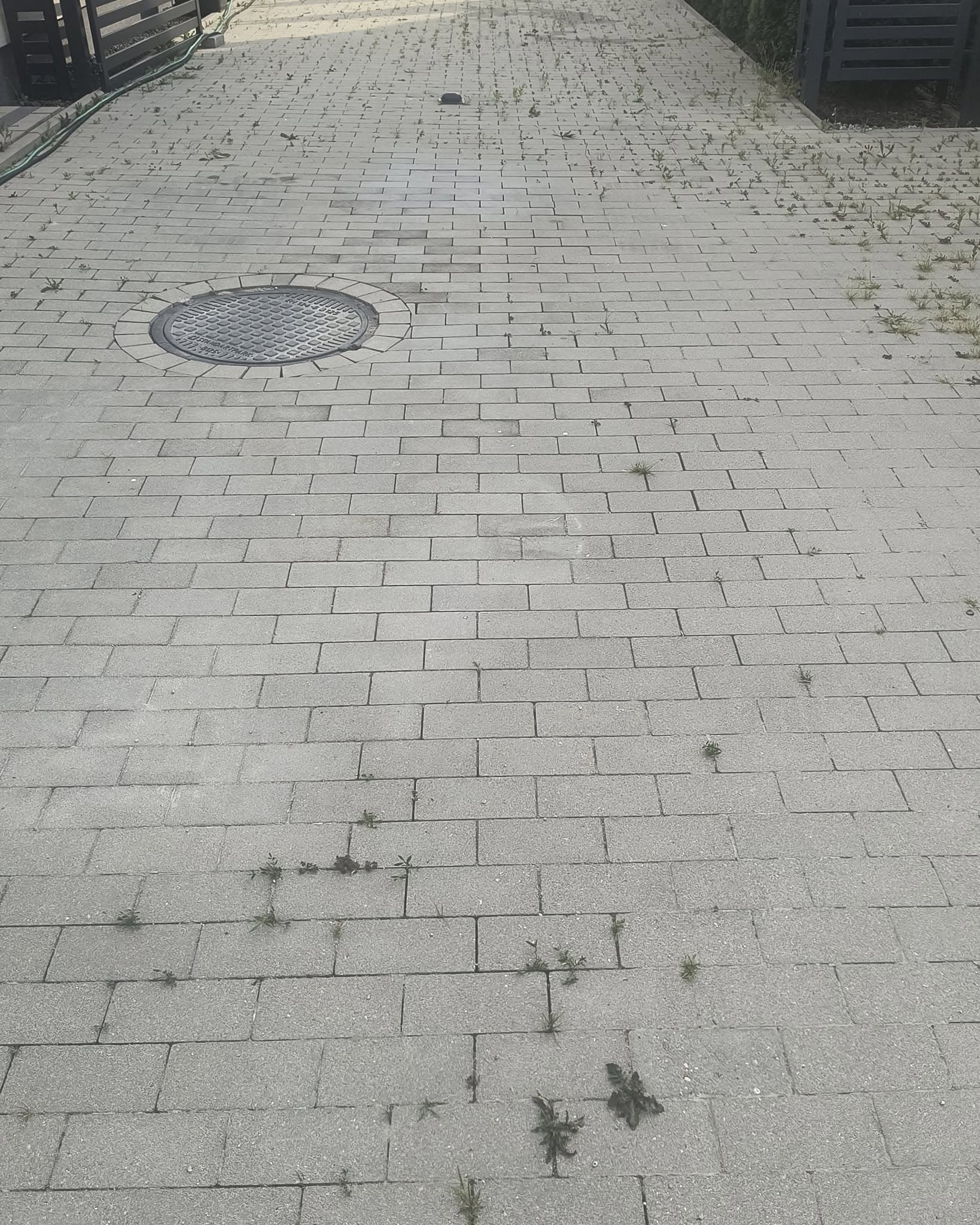 Nawierzchnia z kostki w trakcie usuwania chwastów ze spoin