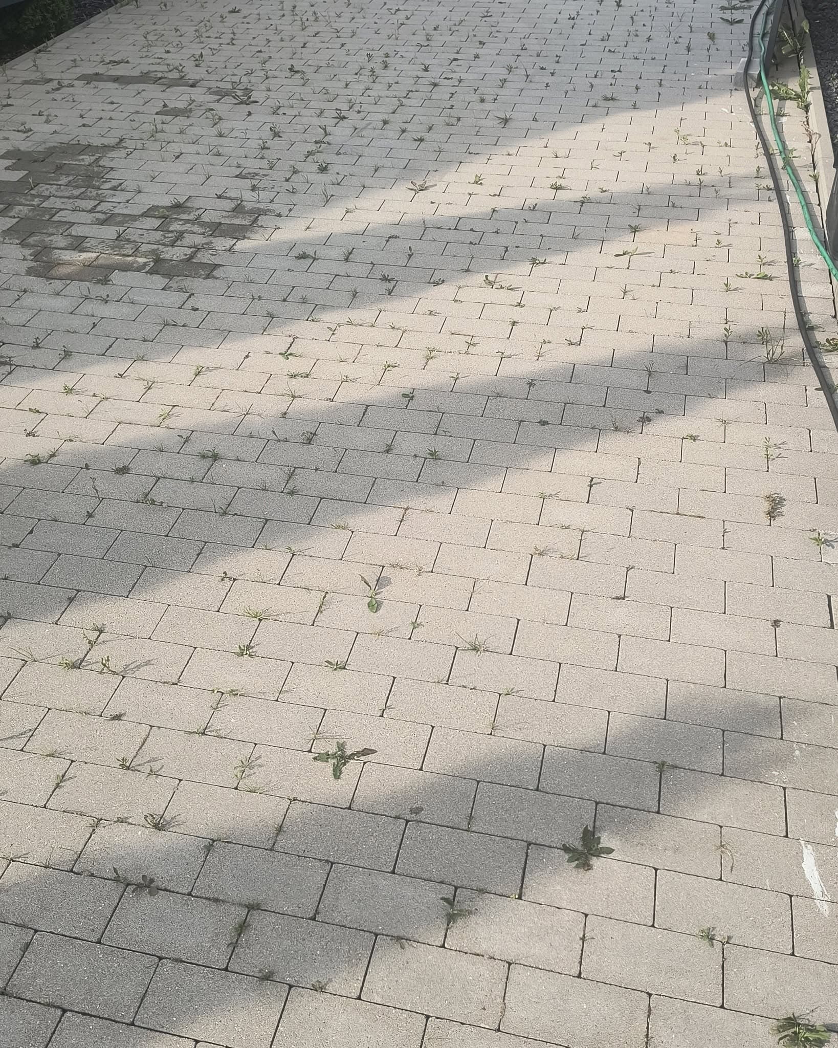 Kostka brukowa z mchem i chwastami w spoinach przed czyszczeniem